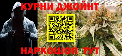 гидра Рузаевка