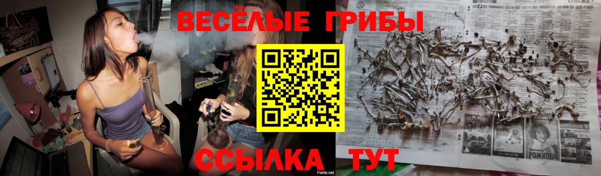 Псилоцибиновые грибы прущие грибы  Вход с VPN  Обь 